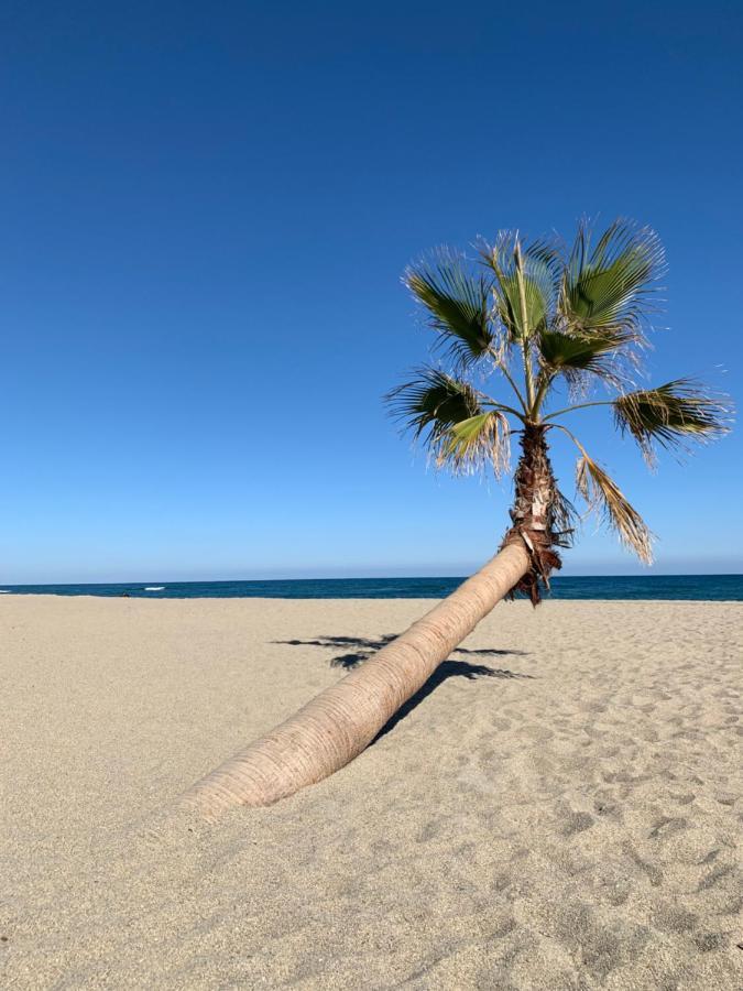 Résidence La Pinède Le Barcarès Esterno foto